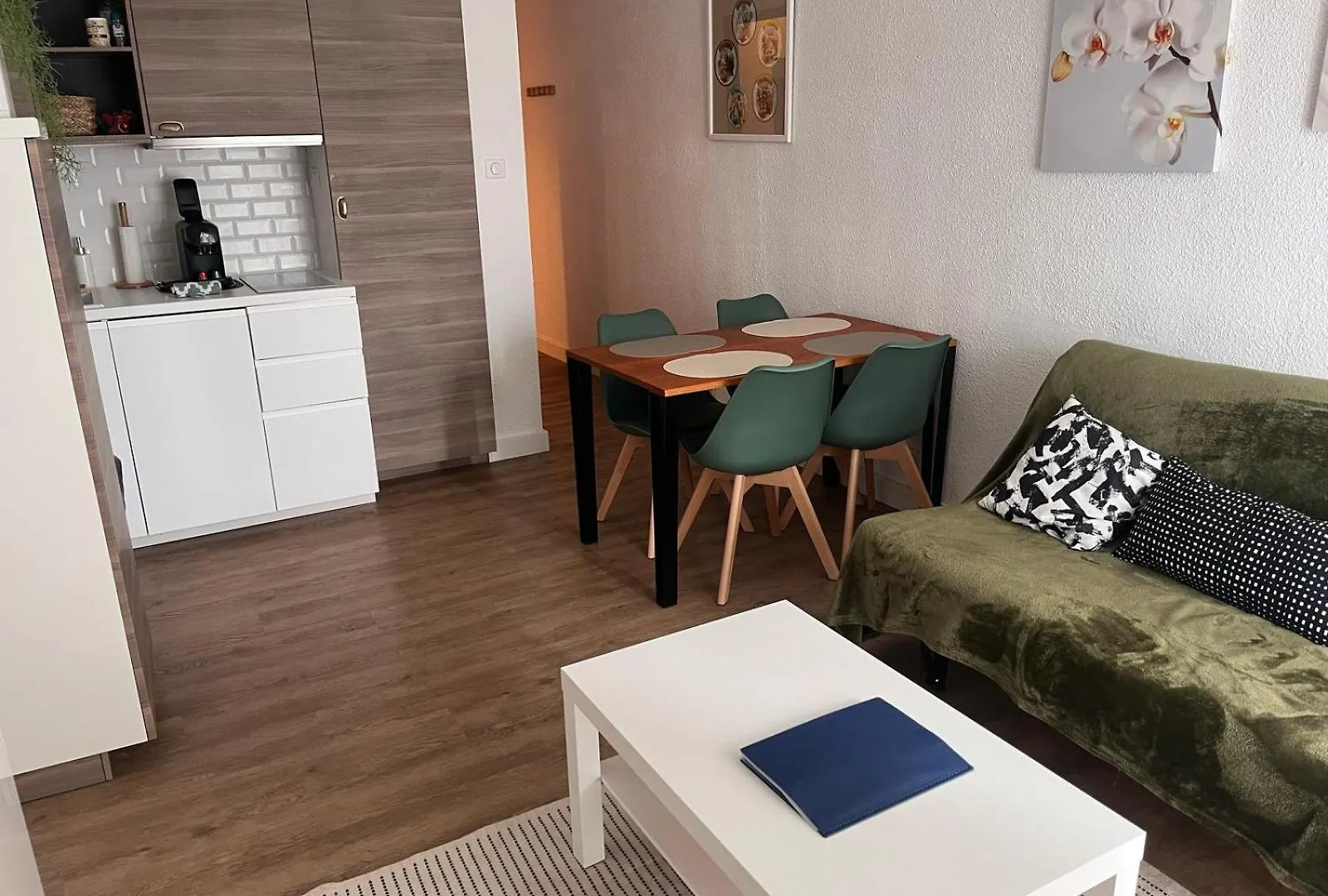 Appartement Vue Sur Les Pyrenees 4Pers Aux Pieds Des Pistes Ax-les-Thermes Apartment